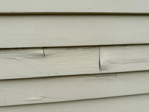 Best Siding for New Construction  in Howard City, MI