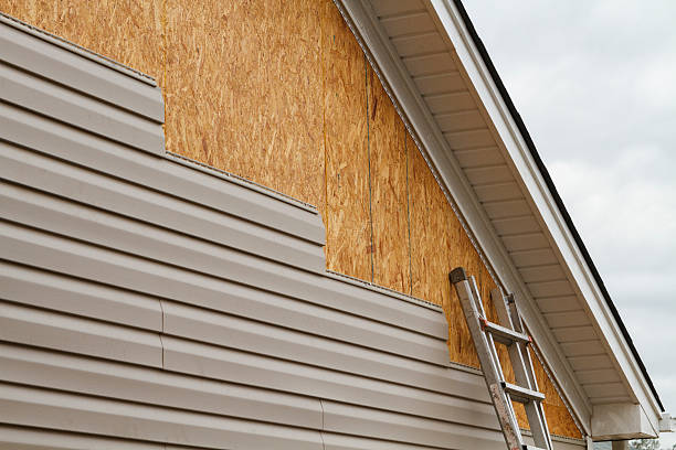 Affordable siding repair and maintenance services in Howard City, MI